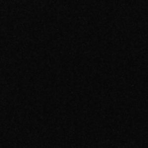 Meet your Posher, Tasha